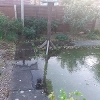 Council Repairs Team go above and beyond for residents
