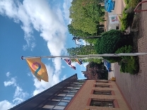 Pride 6