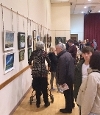 Open Arts exhibition