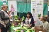 Jobs Fair stand