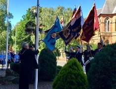 Armed Forces Day flags