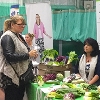 Image representing Employment and training opportunities at South Holland Jobs Fair attracts 550 attendees